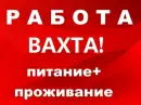 Отдел Кадров